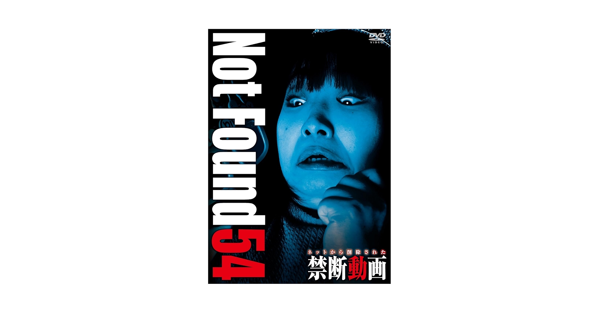 洋画 ○洋画映画チラシ【ザ・インターネット A柄 】サンドラ
